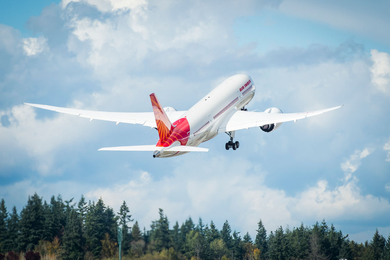 Air India Boeing 787-8 Dreamliner