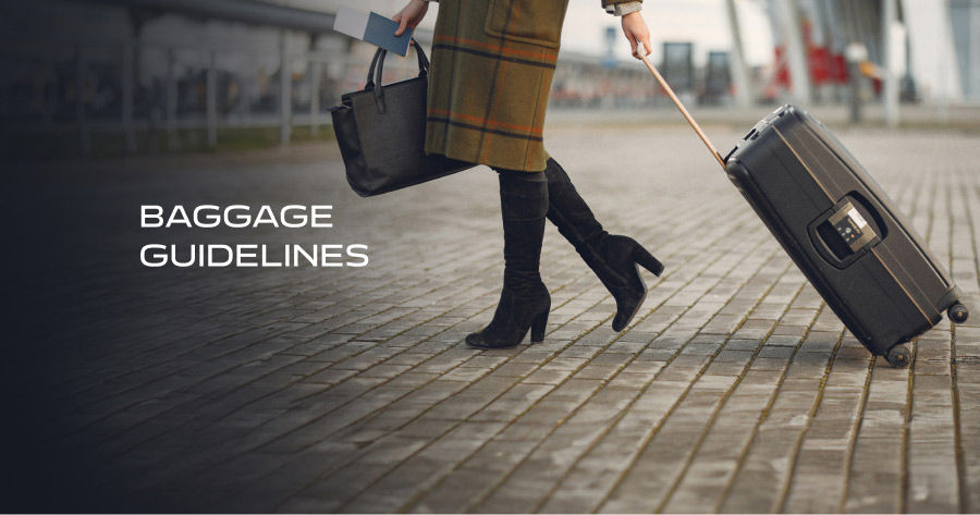 baggage-information-prepare-to-travel-air-india