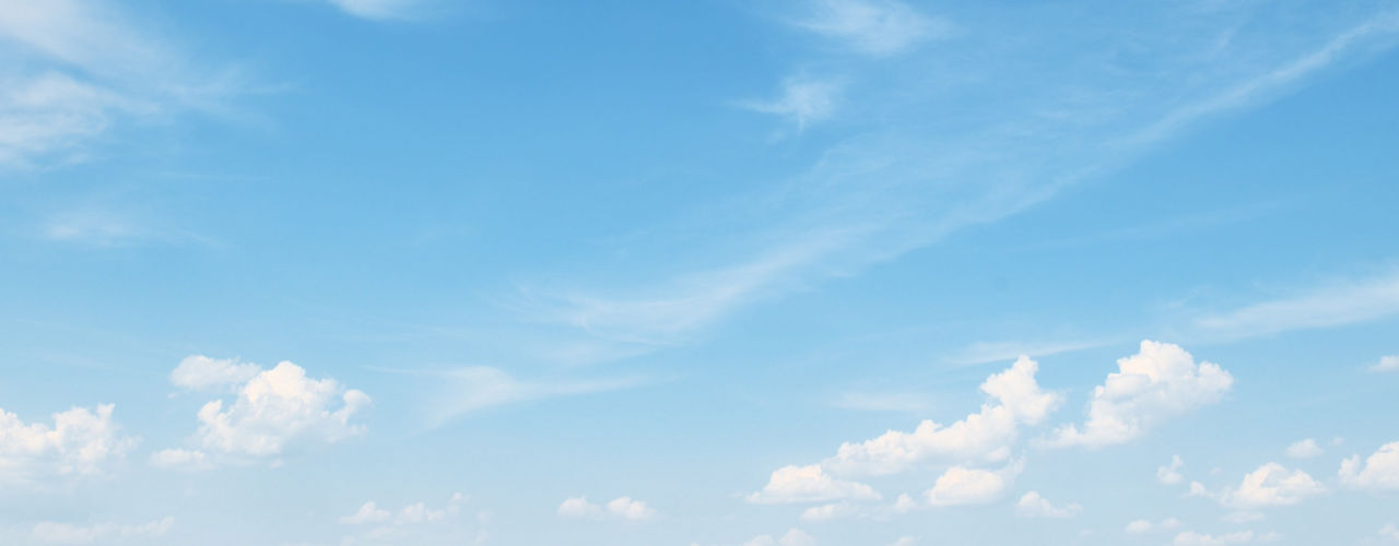 Air India Flight Booking